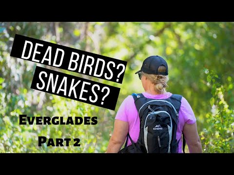 Everglades National Park, Florida - Wildlife and Snake Bight Trail