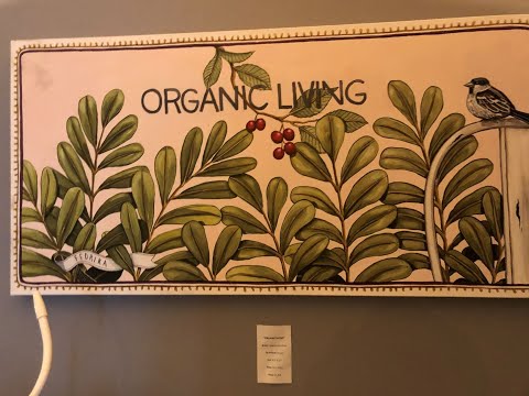 Lilikoi organic living restaurant review