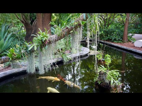 Full tour of Miami Beach Botanical Garden