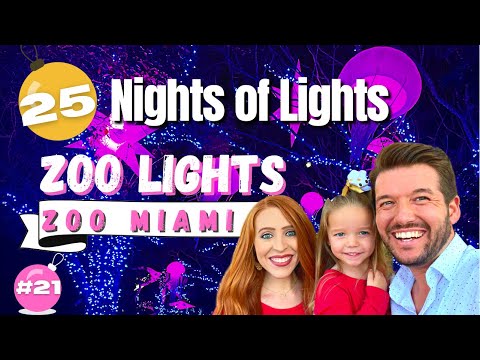 Zoo Lights | Zoo Miami | Miami, FL | 25 Nights of Lights 21 of 25