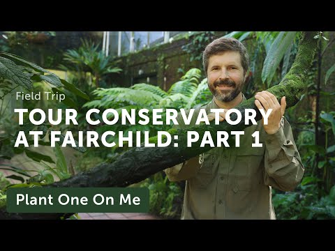 FAIRCHILD Tropical Botanic Garden CONSERVATORY Tour: Part 1 — Ep. 304