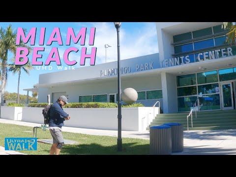Miami Beach Walk 4k 🇺🇸 Walking tour of Flamingo Park in Miami Beach, Florida USA