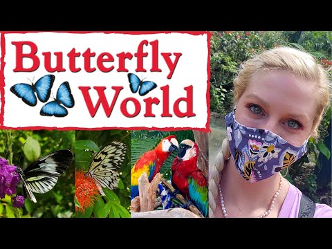 Butterfly World FULL OVERVIEW!! So BEAUTIFUL!! Sept 2020 tour