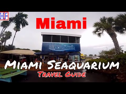 Miami Seaquarium - Amusement Park, Educational and Rescue center | Miami Travel Guide | Episode#5