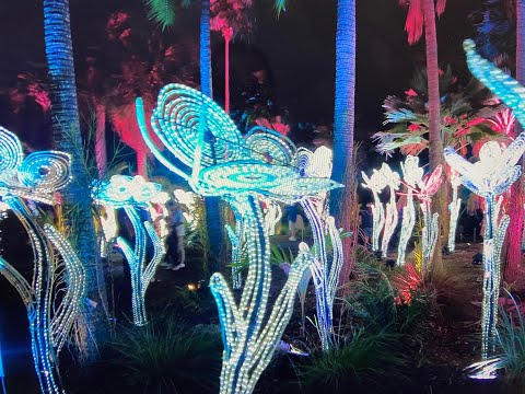 The NightGarden Miami Experience at Fairchild Tropical Botanic Garden FULL WALKTHROUGH 2022