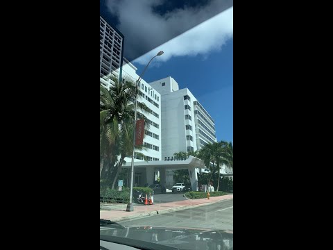 Nautilus By Arlo Miami Beach review!!!