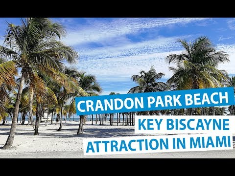 Crandon Park Beach in Key Biscayne, Florida - Top Miami Attractions