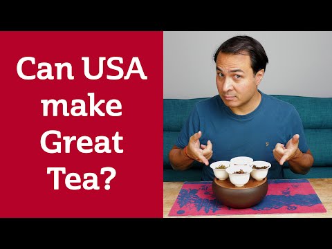 Reviewing USA Tea - BLIND TASTING &amp; RATING teas from the USA