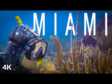 Snorkeling in Miami - Biscayne National Park