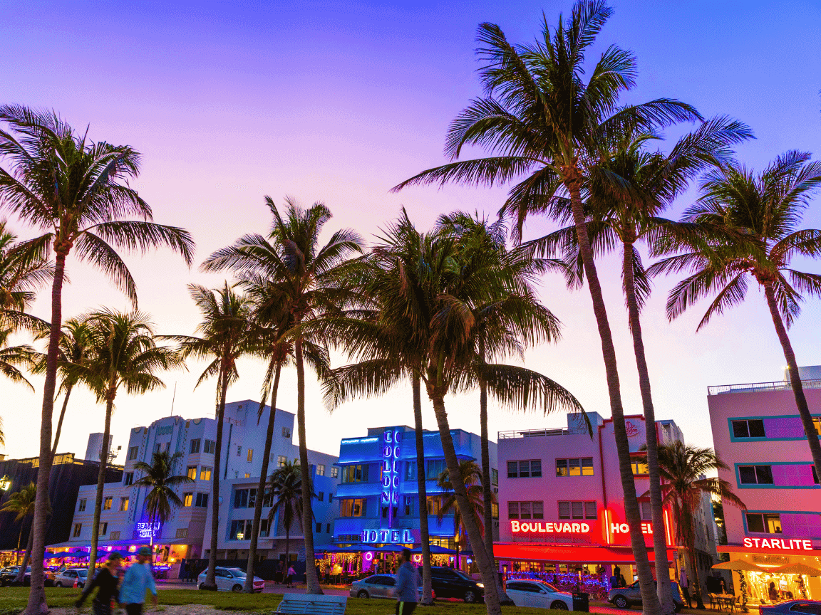 20+ Miami Slang Terms & Phrases That You Must Know